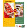 imageKatbite Tulip Cupcake Liners Holders 200PCS Muffin Baking Cups Cupcake Wrapper for Party Wedding Birthday ChristmasChristmas